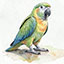 Watercolor Style